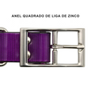 Coleira Fashion para Pets: Praticidade e Estilo em Cada Passeio