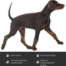 Cinta de Suporte para Articulações e Joelhos de Cachorros com Dificuldade para Caminhar