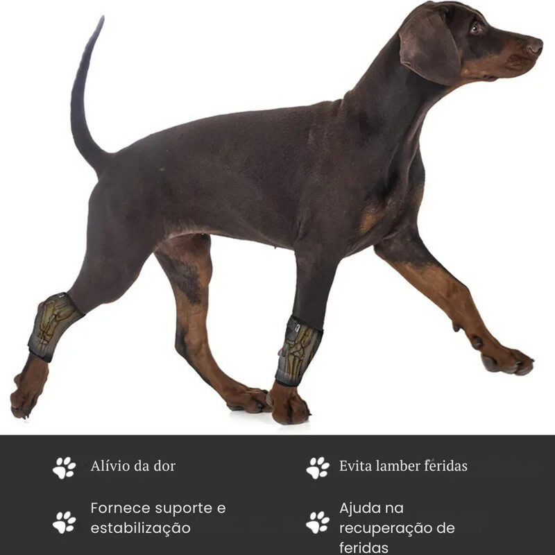 Cinta de Suporte para Articulações e Joelhos de Cachorros com Dificuldade para Caminhar