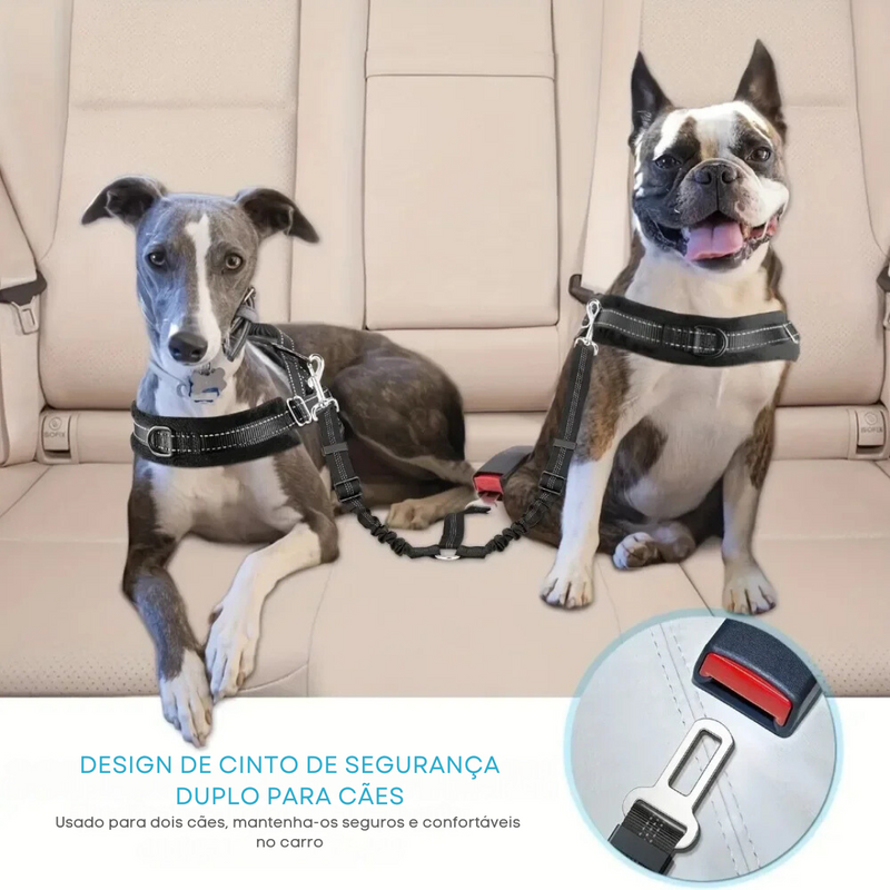 Cinto de Segurança Duplo para Dois Cães: Conforto e Proteção com Fivela de Metal