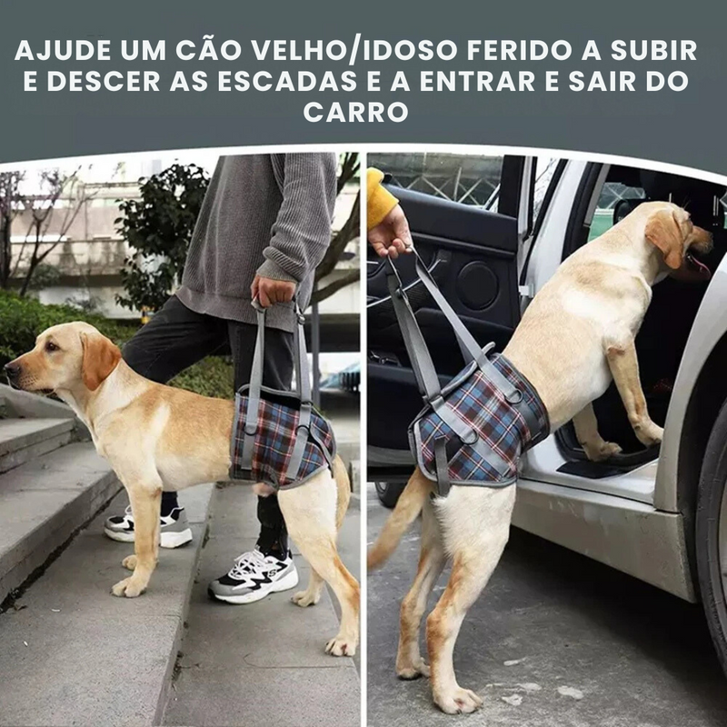 Sling Ajustável para Conforto de Cachorros Idosos com Dificuldades de Mobilidade