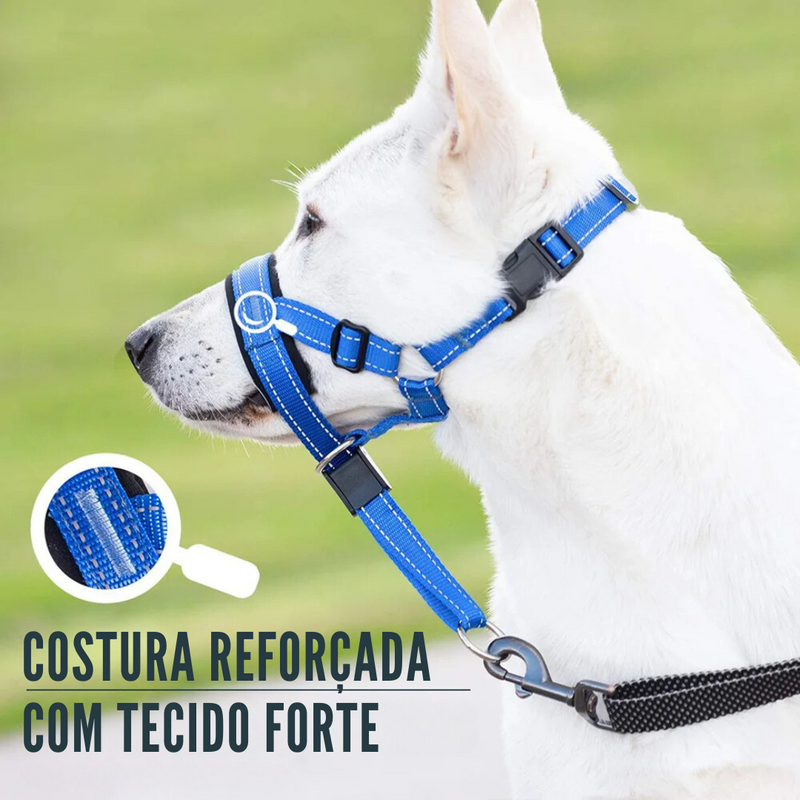 Coleira Educativa Anti Latido para Treinamento Eficiente de Cachorros