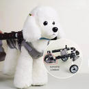 Cadeira de Rodas Ajustável para Proporcionar Liberdade às Patas Traseiras de Seu Cão