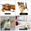 Cinta Elevatória Ajustável para Patas Traseiras: Suporte Confortável para a Reabilitação de Cães Idosos