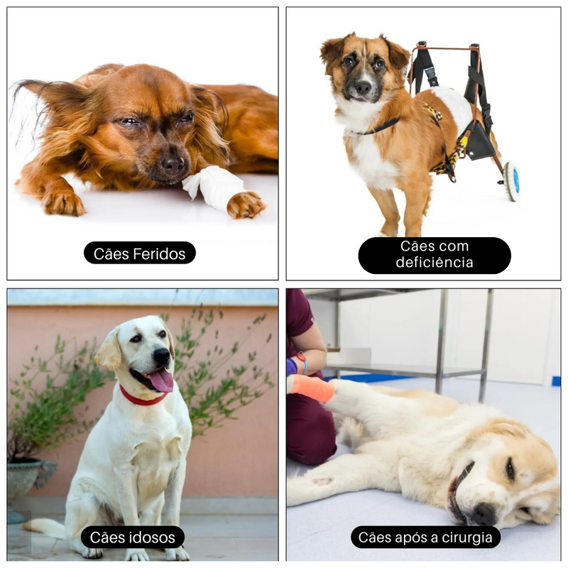 Cinta Elevatória Ajustável para Patas Traseiras: Suporte Confortável para a Reabilitação de Cães Idosos