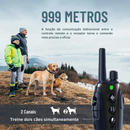 Coleira de Treinamento para Cães com 4 Modos e Alcance de 1000 Metros