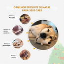 Ouriço de Pelúcia Confortável para Cães