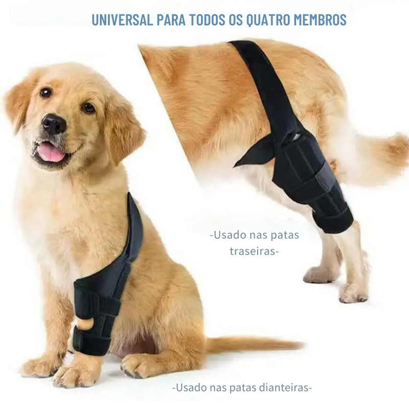 Joelheira Ortopédica para Cachorros: Conforto e Mobilidade para Pets com Dificuldade de Andar