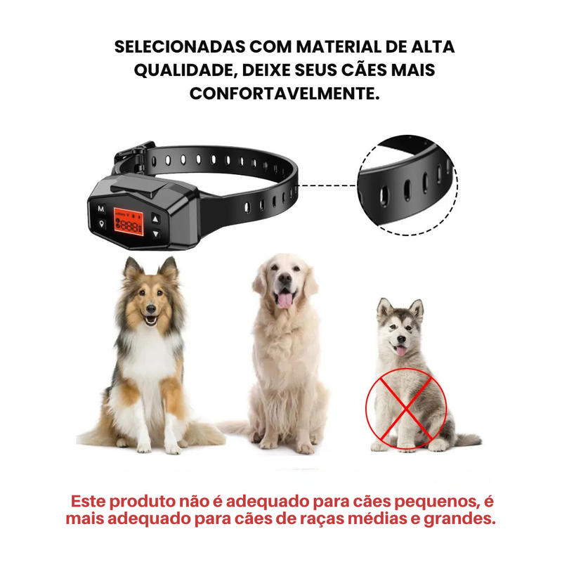 Coleira GPS para Cachorros: Segurança e Liberdade em Cada Passeio