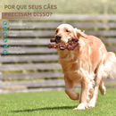 Gorila Mordedor Resistente com Aroma de Carne para Cachorros - Diversão e Conforto em Cada Mordida