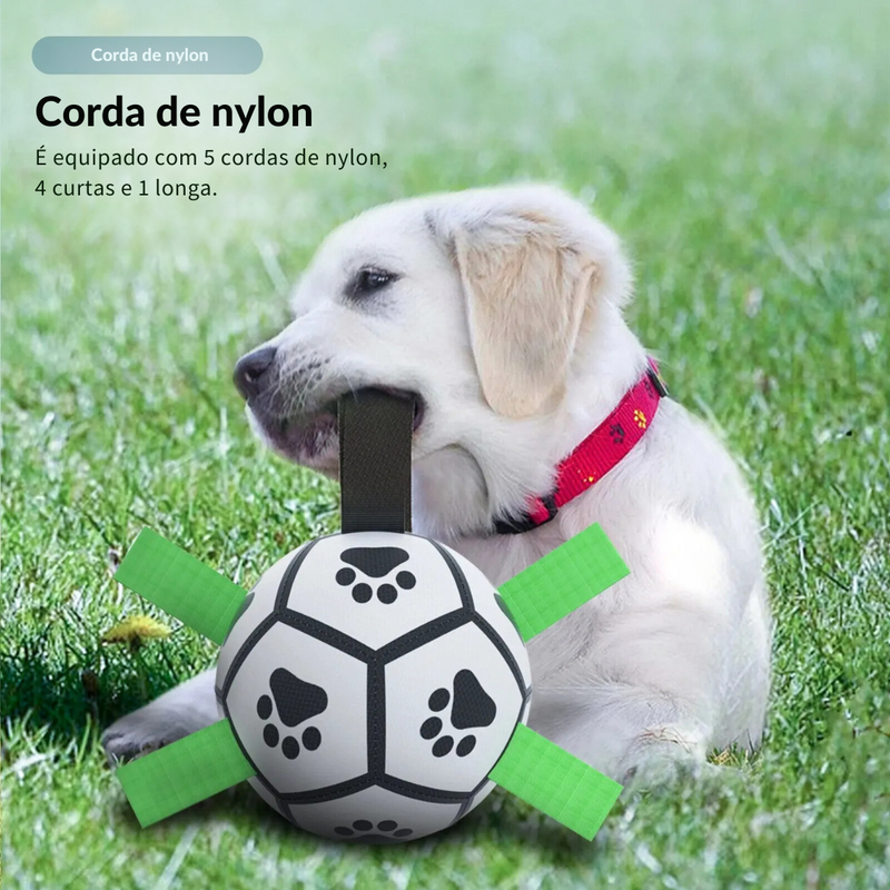 Bola Mordedora com Alças para Cachorros – Diversão e Conforto em Cada Mordida