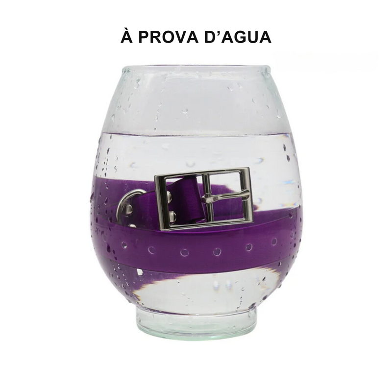 Coleira Fashion para Pets: Praticidade e Estilo em Cada Passeio