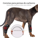 Bandagem Protetora para Joelhos e Cotovelos de Cachorros - Conforto e Mobilidade para Seu Melhor Amigo