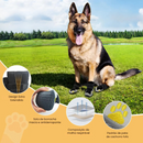 Bota Impermeável Confortável Para Seu Cão