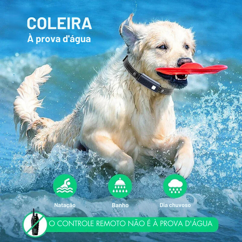 Coleira de Treinamento para Cães com 4 Modos e Alcance de 1000 Metros