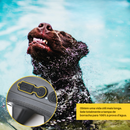 Coleira Eletrônica para Treinamento e Controle de Latidos em Cachorros