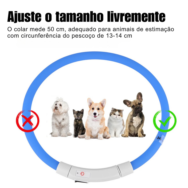 Coleira Led Recarregável: Segurança e Estilo para Seu Cachorro
