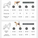 Sling Ajustável para Conforto de Cachorros Idosos com Dificuldades de Mobilidade
