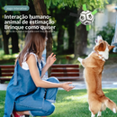 Bola Mordedora com Alças para Cachorros – Diversão e Conforto em Cada Mordida