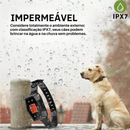 Coleira GPS para Cachorros: Segurança e Liberdade em Cada Passeio