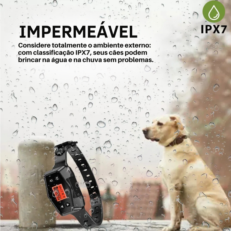 Coleira GPS para Cachorros: Segurança e Liberdade em Cada Passeio