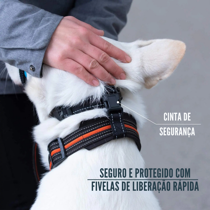 Coleira Educativa Anti Latido para Treinamento Eficiente de Cachorros