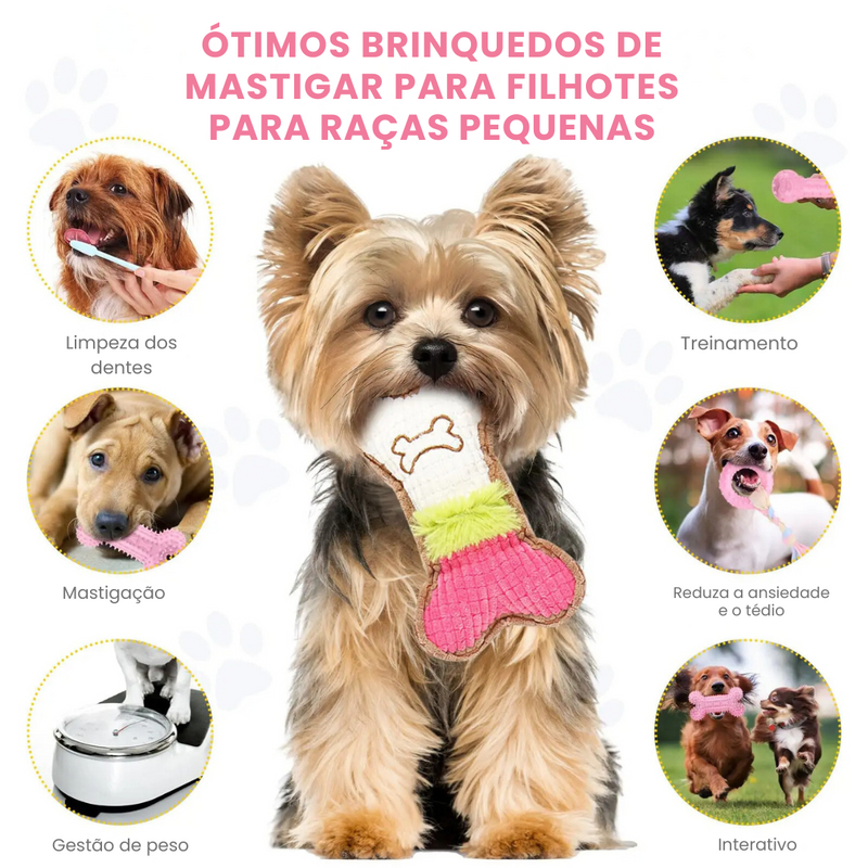 Conjunto de 6 Brinquedos Pelúcia e Mordedores para Momentos de Diversão com Seu Cachorro