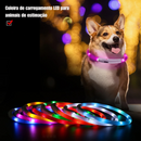 Coleira Led Recarregável: Segurança e Estilo para Seu Cachorro