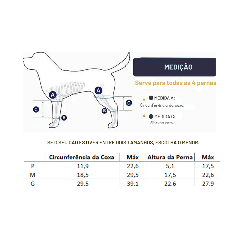 Joelheira Ortopédica para Cachorros: Conforto e Mobilidade para Pets com Dificuldade de Andar