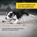Coleira Eletrônica para Treinamento e Controle de Latidos em Cachorros