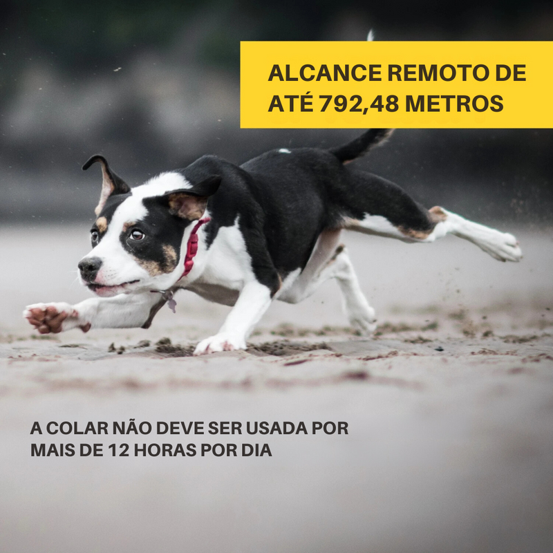 Coleira Eletrônica para Treinamento e Controle de Latidos em Cachorros