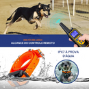 Coleira Elétrica de Treinamento: Controle de Latidos e Vibração para Cães