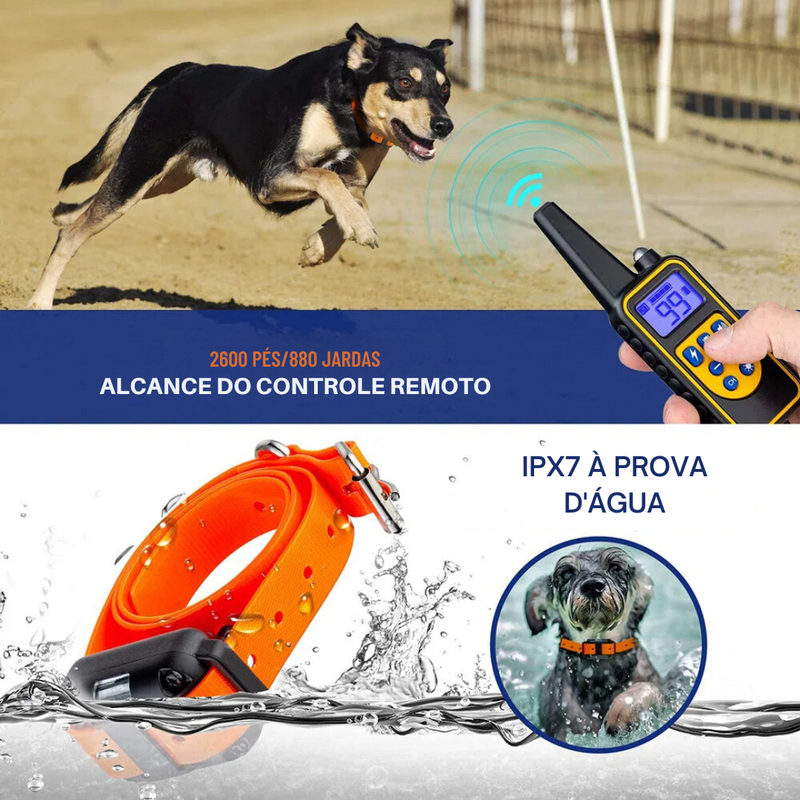 Coleira Elétrica de Treinamento: Controle de Latidos e Vibração para Cães