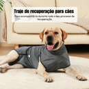 Roupa Confortável de Recuperação para Cães e Gatos