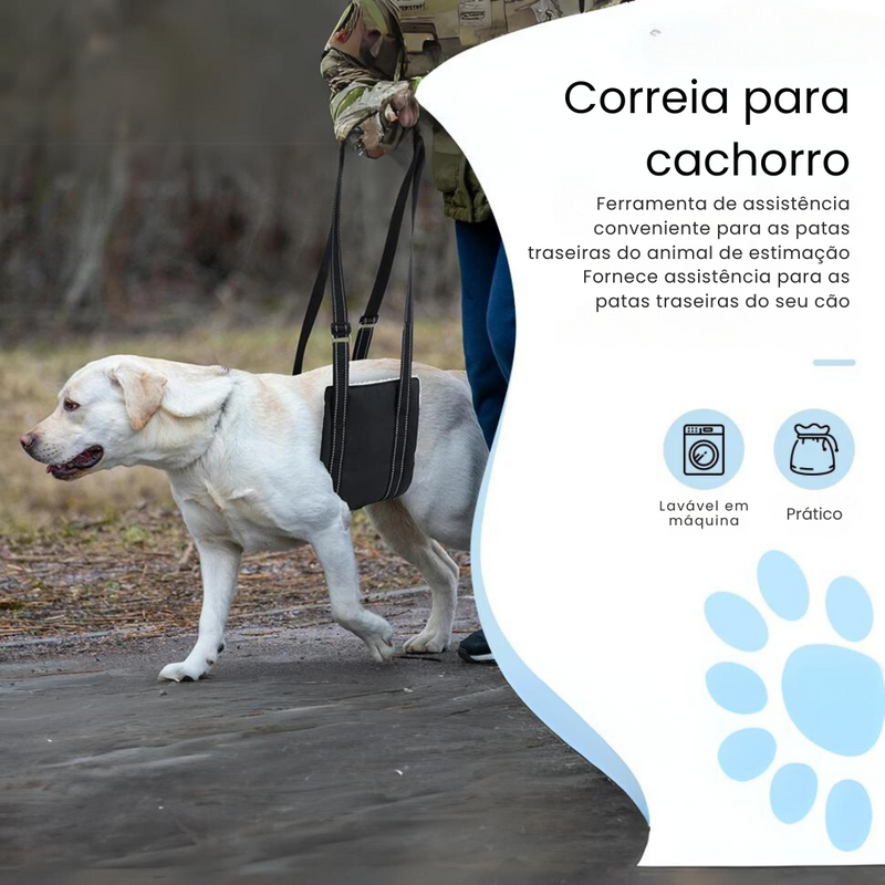 Sling de Apoio para Cachorros com Dificuldade de Caminhar – Conforto e Mobilidade para Pets com Artrite
