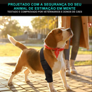 Cinta de Suporte para Patas Traseiras de Cachorros com Artrite e Dificuldades de Mobilidade