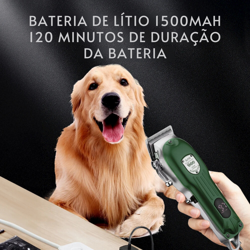 Kit de Tosa Profissional para Transformar o Cuidado do Seu Pet
