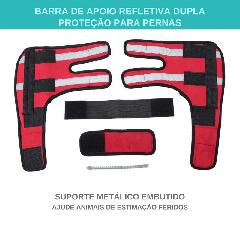 Suporte Ortobend para Recuperação Confortável de Cachorros