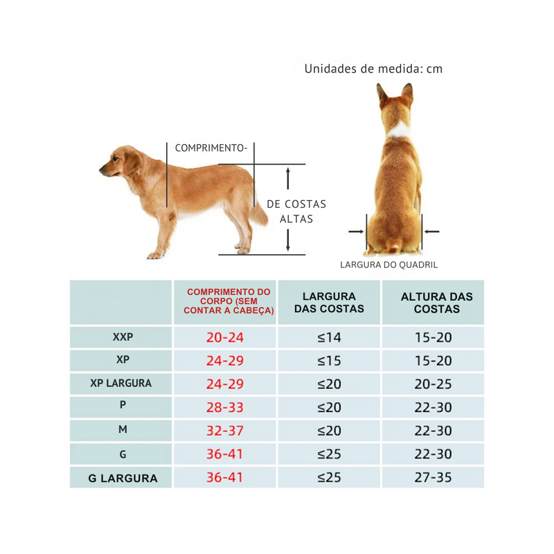 Cadeira de Rodas para Cães com Mobilidade Reduzida - Proporcione Conforto e Liberdade