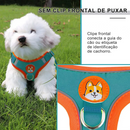 Conjunto Comfort Peitoral e Guia para Cachorros – Conforto e Segurança nas Caminhadas