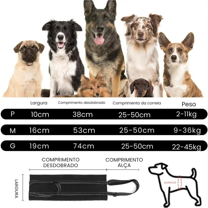 Cinta Elevatória Ajustável para Patas Traseiras: Suporte Confortável para a Reabilitação de Cães Idosos