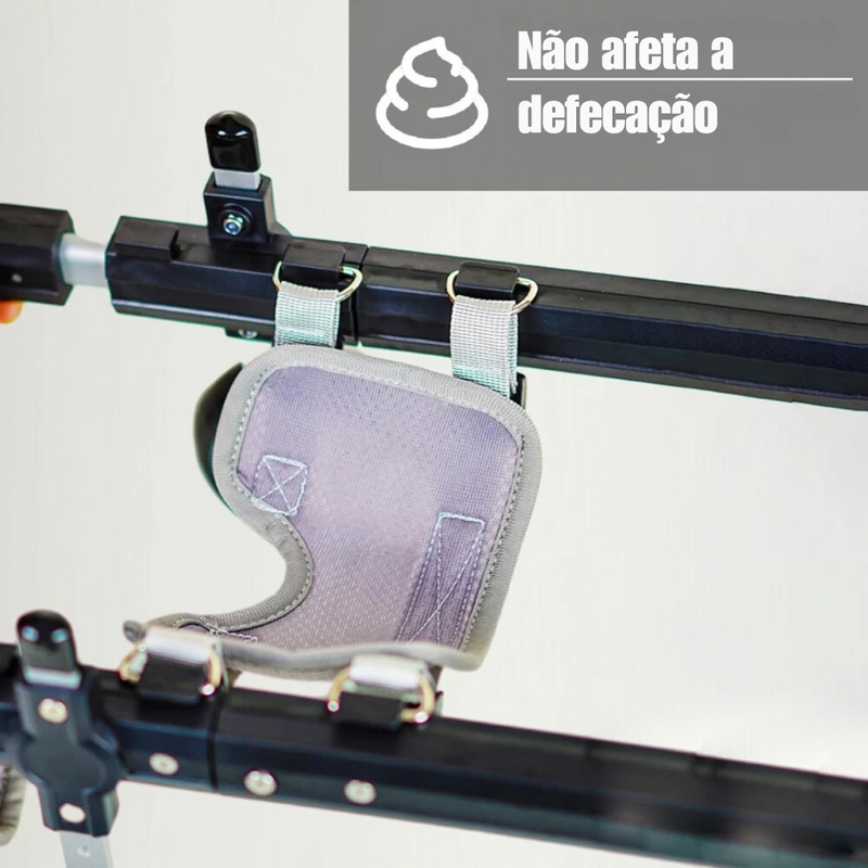 Cadeira de Rodas Ajustável para Proporcionar Liberdade às Patas Traseiras de Seu Cão