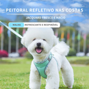 Peitoral e Guia Ajustável para Cães: Conforto e Liberdade em Cada Passeio
