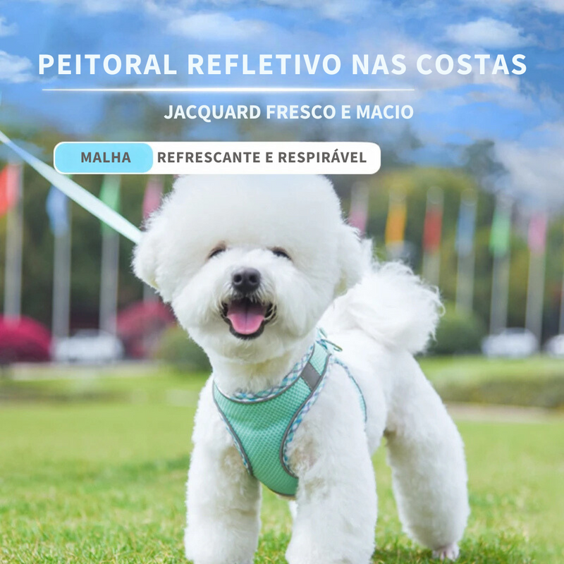 Peitoral e Guia Ajustável para Cães: Conforto e Liberdade em Cada Passeio