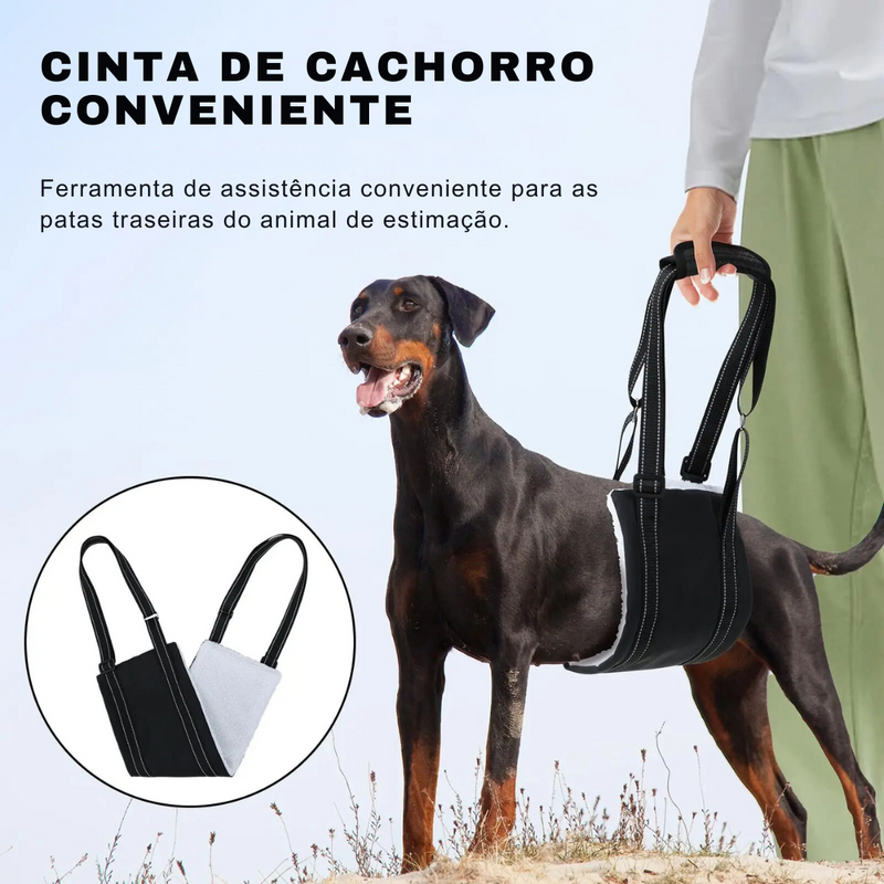 Sling de Apoio para Cachorros com Dificuldade de Caminhar – Conforto e Mobilidade para Pets com Artrite