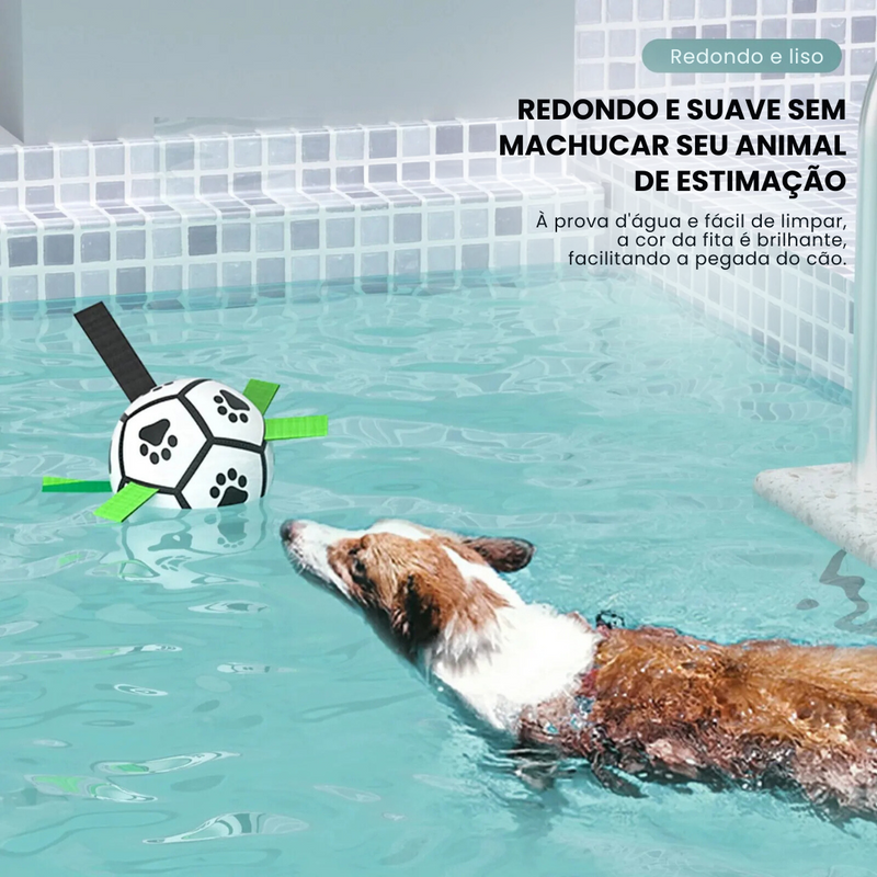 Bola Mordedora com Alças para Cachorros – Diversão e Conforto em Cada Mordida