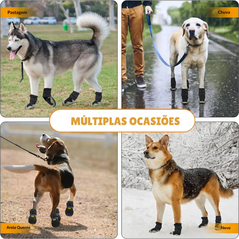 Bota Impermeável Confortável Para Seu Cão