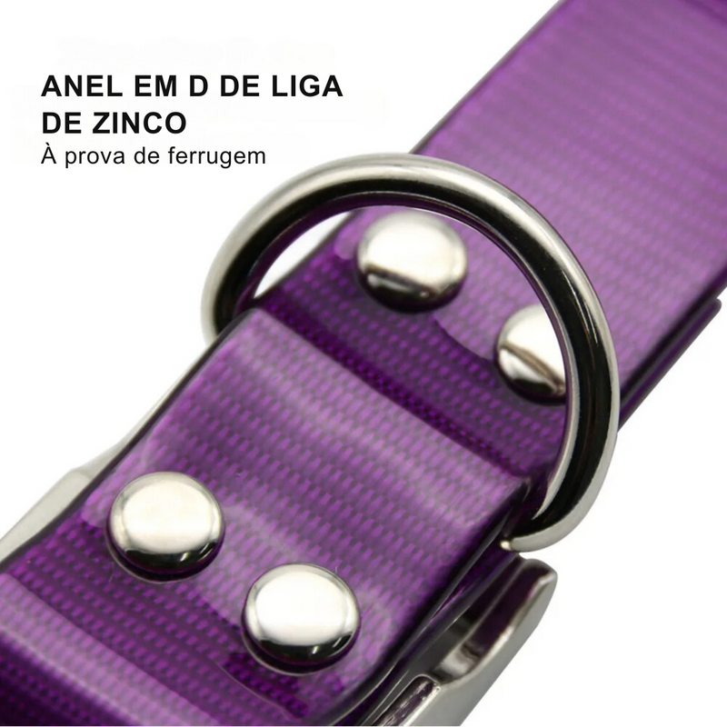 Coleira Fashion para Pets: Praticidade e Estilo em Cada Passeio