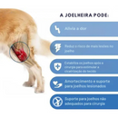 Joelheira Ortopédica para Cachorros: Conforto e Mobilidade para Pets com Dificuldade de Andar