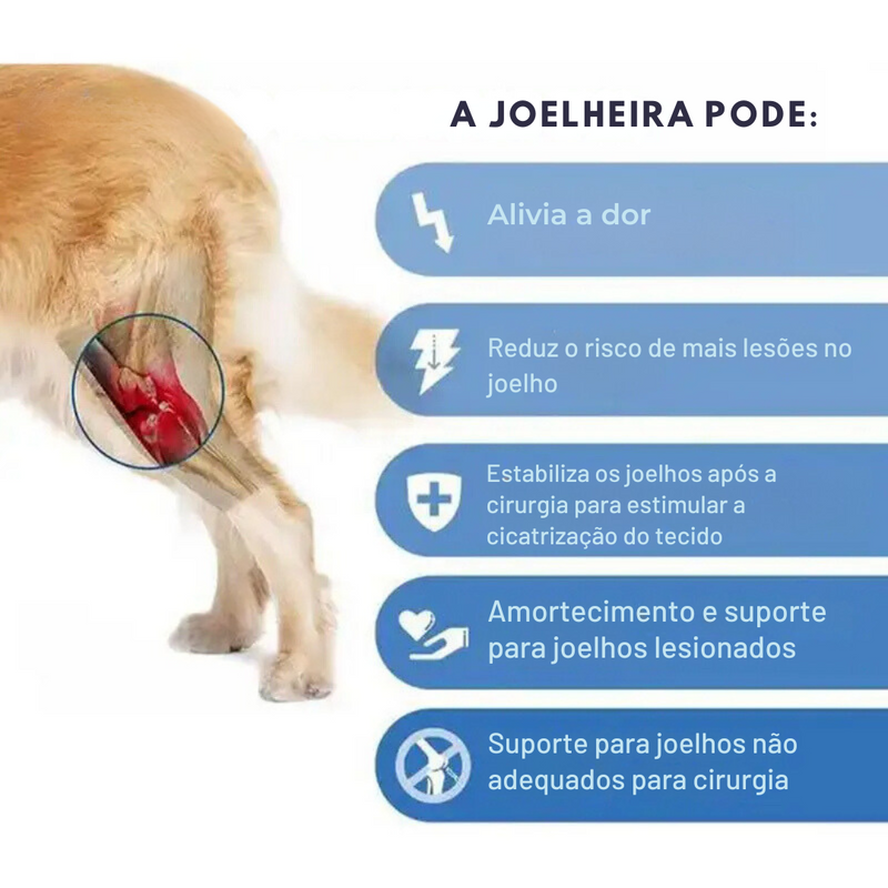 Joelheira Ortopédica para Cachorros: Conforto e Mobilidade para Pets com Dificuldade de Andar
